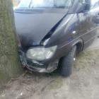 Fotka nr 3 z 8