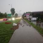 zdjęcie nr 20