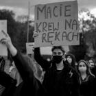zdjęcie nr 16