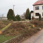 zdjęcie nr 11