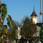 zdjęcie nr 43