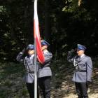 zdjęcie nr 32