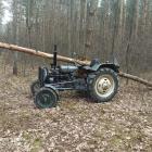 Fotka nr 2 z 3