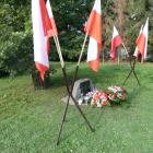 zdjęcie nr 16