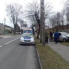 Fotka nr 3 z 5