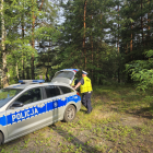 zdjęcie nr 15