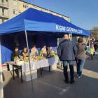 Fotka nr 5 z 8