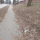 zdjęcie nr 9