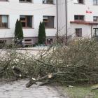 zdjęcie nr 8