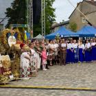 zdjęcie nr 15
