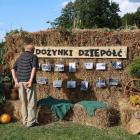 zdjęcie nr 24