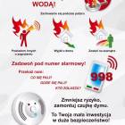 zdjęcie nr 4