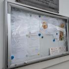 Fotka nr 1 z 2