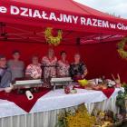 zdjęcie nr 11