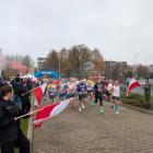 zdjęcie nr 42