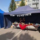 zdjęcie nr 7