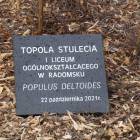 zdjęcie nr 32
