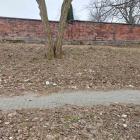 zdjęcie nr 7