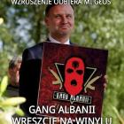 zdjęcie nr 27