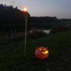 zdjęcie nr 14