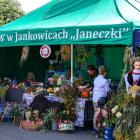 zdjęcie nr 33