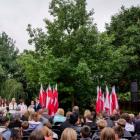 zdjęcie nr 26