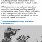 Fotka nr 2 z 3