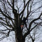 zdjęcie nr 16