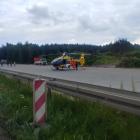 Fotka nr 5 z 6