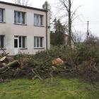 zdjęcie nr 15