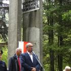 zdjęcie nr 52