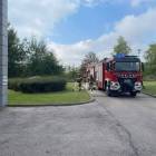 Fotka nr 2 z 16