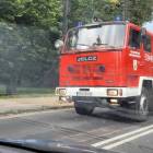 Fotka nr 4 z 5
