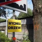 zdjęcie nr 15