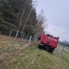 Fotka nr 2 z 4