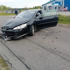 Fotka nr 1 z 2