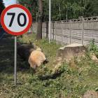zdjęcie nr 13