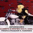 Fotka nr 0 z 1