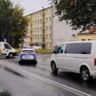 Fotka nr 1 z 2