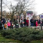 zdjęcie nr 23