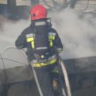 Fotka nr 1 z 94