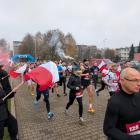 zdjęcie nr 37