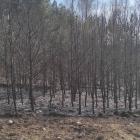 zdjęcie nr 24