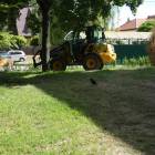 Fotka nr 1 z 18