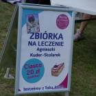 zdjęcie nr 10