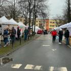 Fotka nr 1 z 8
