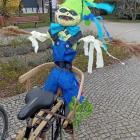 Fotka nr 1 z 6
