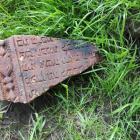 Fotka nr 1 z 3