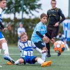 Fotka nr 3 z 10