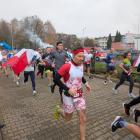 zdjęcie nr 39